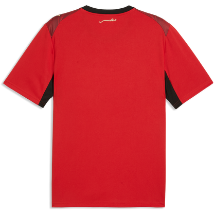Puma Men's Egypt Home 2026 Stadium Jersey