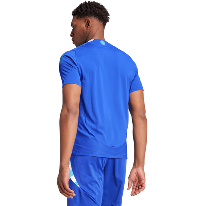 adidas Argentina 2024 Men's Away Authentic Match Jersey